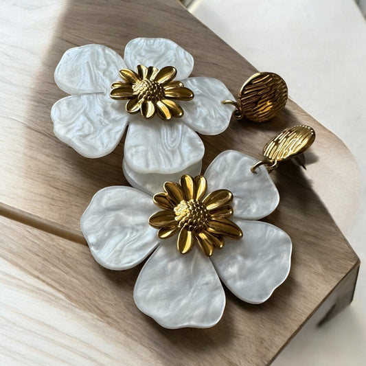 Boucles MEORA